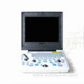 Laptop Ultrasound For Persian Cat Uterine